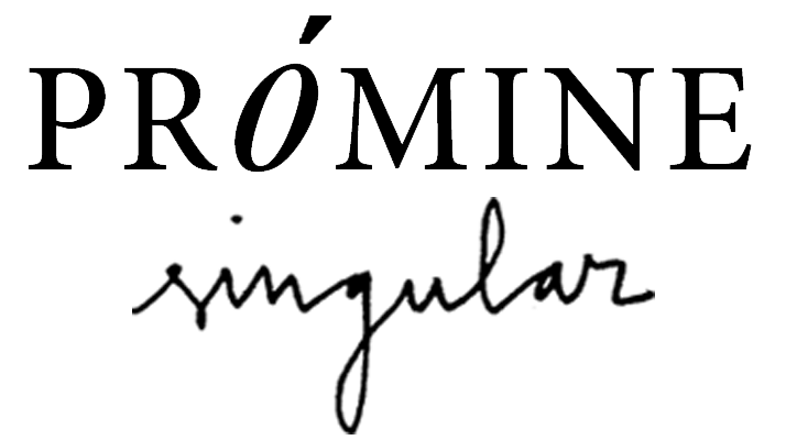 prominesingulartexto